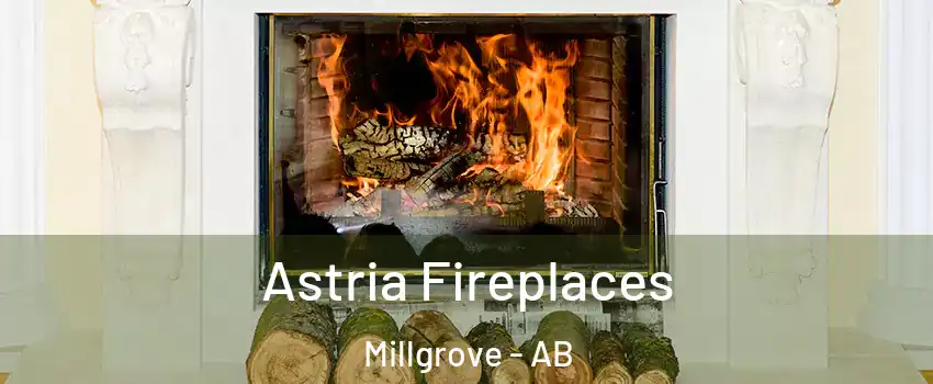  Astria Fireplaces Millgrove - AB