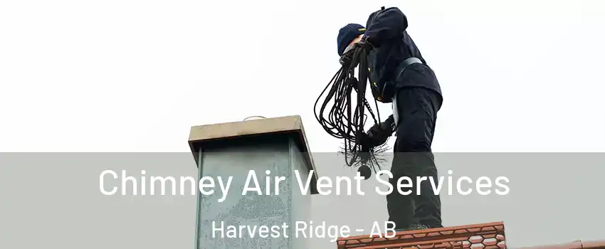  Chimney Air Vent Services Harvest Ridge - AB