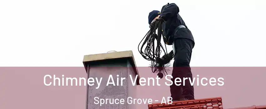  Chimney Air Vent Services Spruce Grove - AB