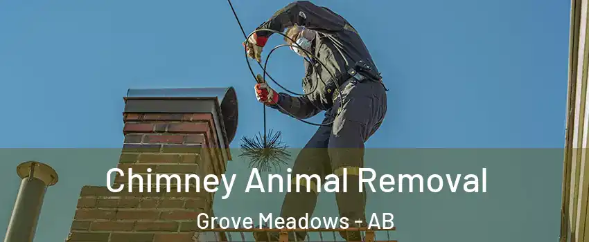  Chimney Animal Removal Grove Meadows - AB