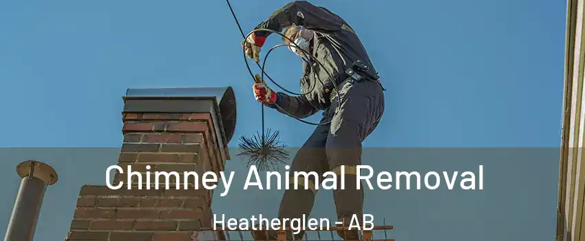  Chimney Animal Removal Heatherglen - AB