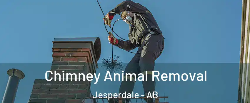 Chimney Animal Removal Jesperdale - AB