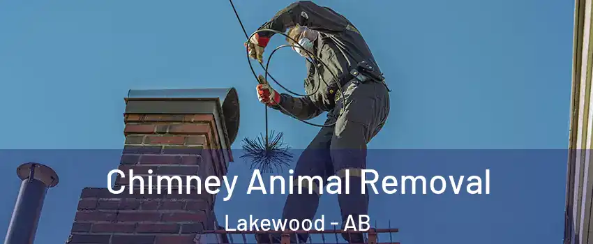  Chimney Animal Removal Lakewood - AB