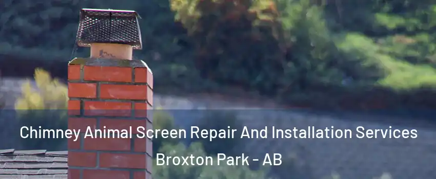  Chimney Animal Screen Repair And Installation Services Broxton Park - AB