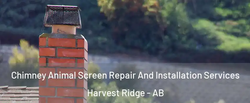  Chimney Animal Screen Repair And Installation Services Harvest Ridge - AB