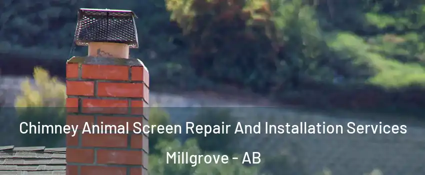  Chimney Animal Screen Repair And Installation Services Millgrove - AB