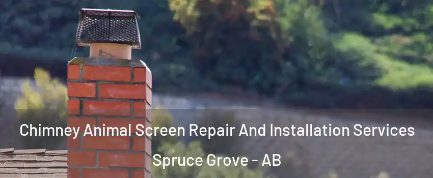  Chimney Animal Screen Repair And Installation Services Spruce Grove - AB