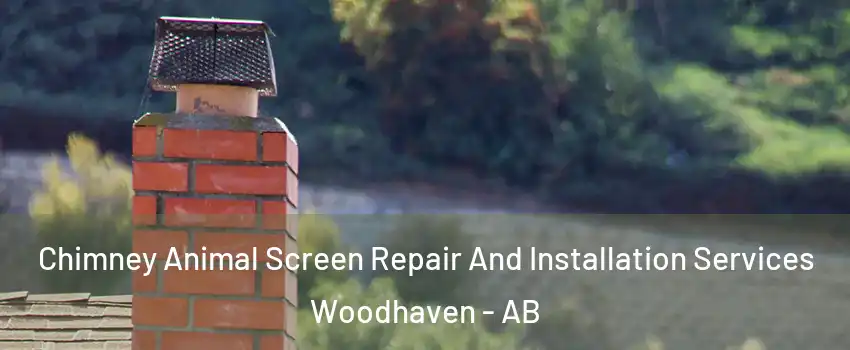  Chimney Animal Screen Repair And Installation Services Woodhaven - AB
