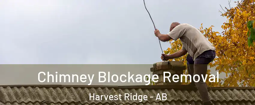  Chimney Blockage Removal Harvest Ridge - AB