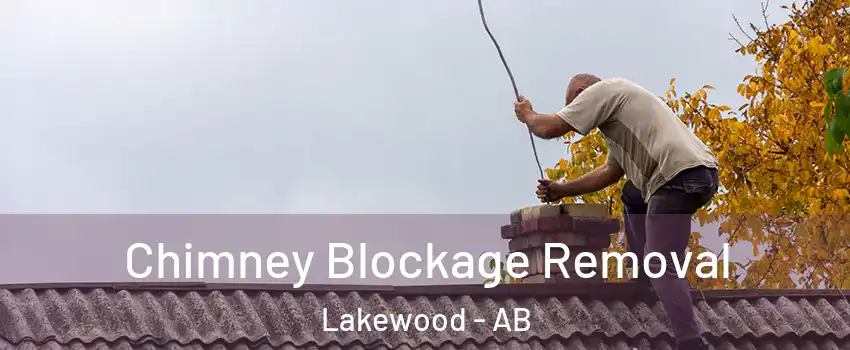  Chimney Blockage Removal Lakewood - AB
