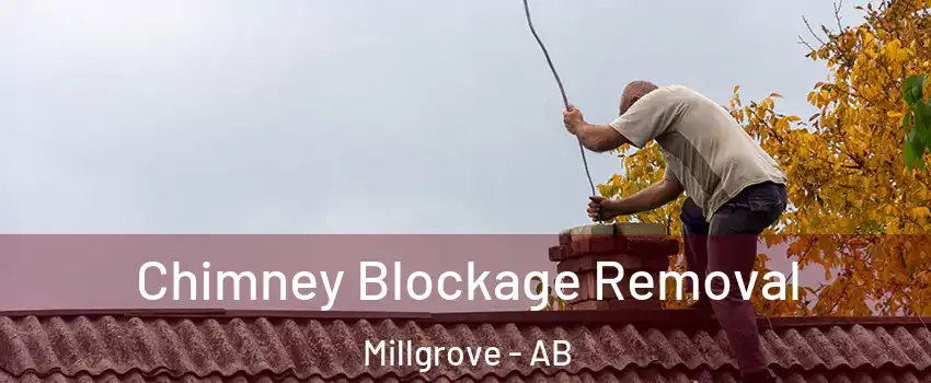  Chimney Blockage Removal Millgrove - AB