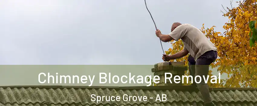  Chimney Blockage Removal Spruce Grove - AB