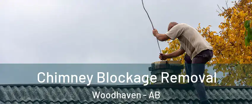  Chimney Blockage Removal Woodhaven - AB