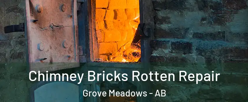  Chimney Bricks Rotten Repair Grove Meadows - AB
