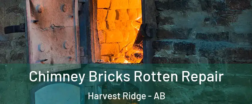  Chimney Bricks Rotten Repair Harvest Ridge - AB