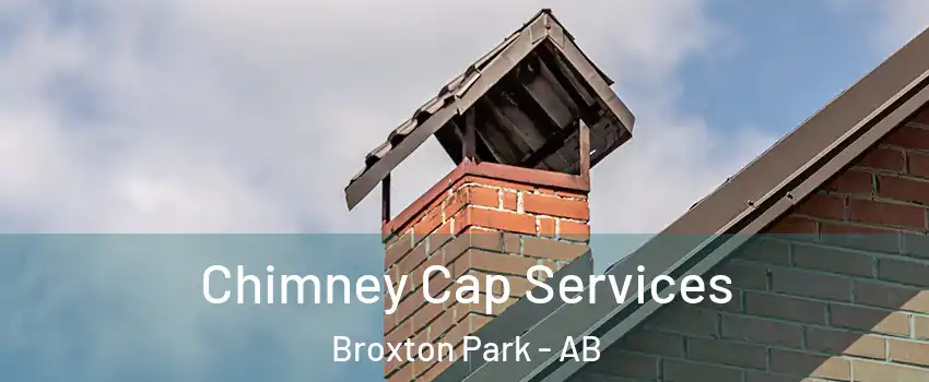  Chimney Cap Services Broxton Park - AB