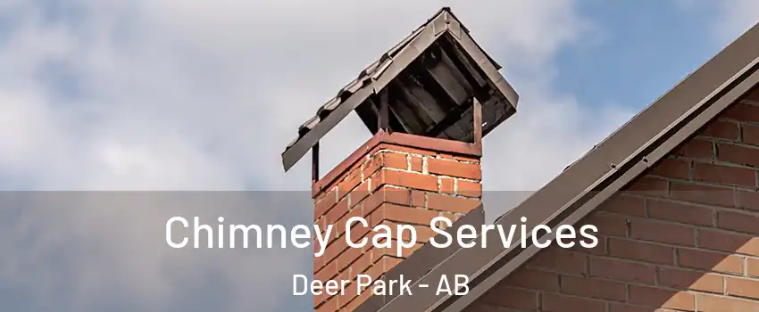  Chimney Cap Services Deer Park - AB