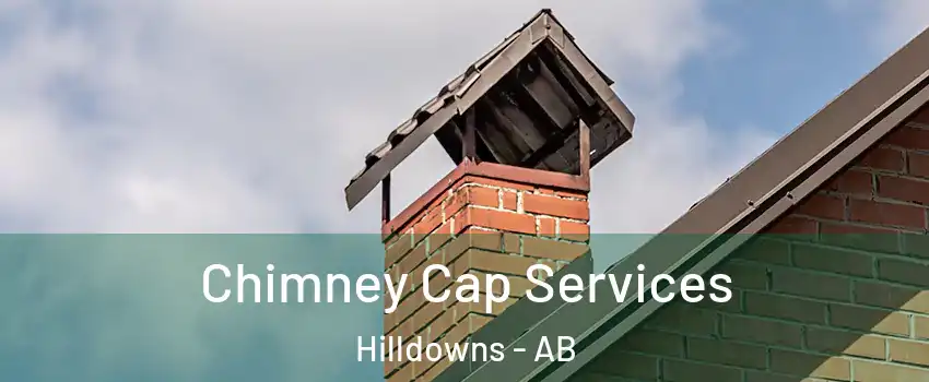  Chimney Cap Services Hilldowns - AB
