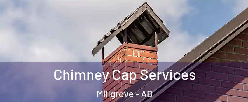  Chimney Cap Services Millgrove - AB
