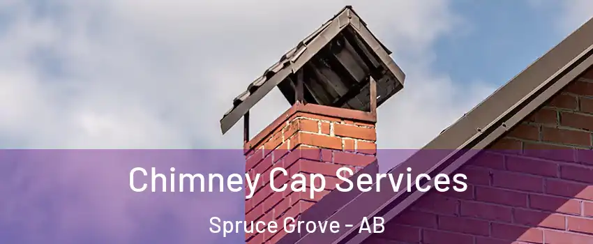  Chimney Cap Services Spruce Grove - AB
