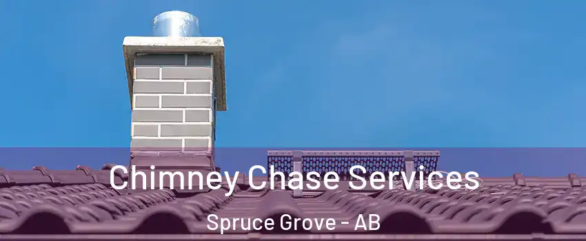  Chimney Chase Services Spruce Grove - AB