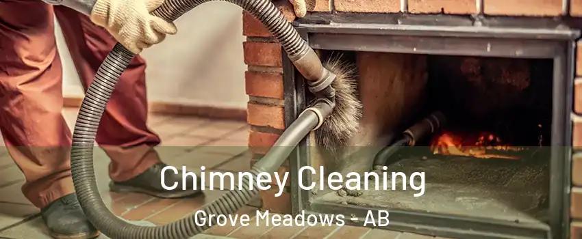  Chimney Cleaning Grove Meadows - AB