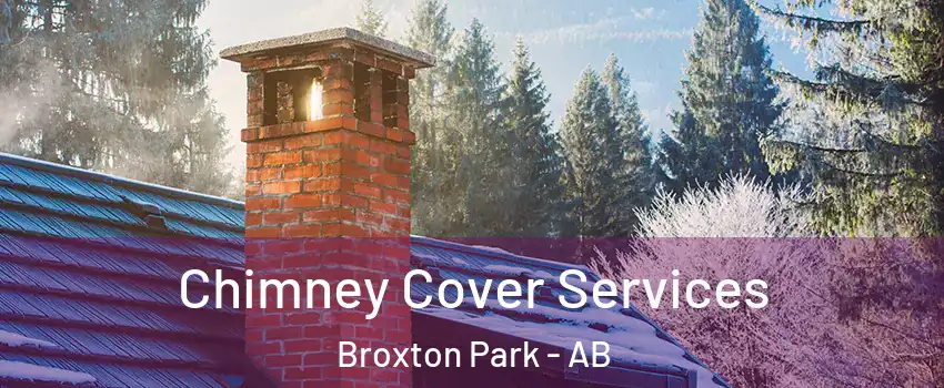  Chimney Cover Services Broxton Park - AB