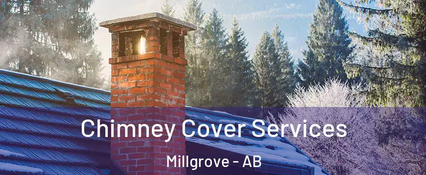  Chimney Cover Services Millgrove - AB