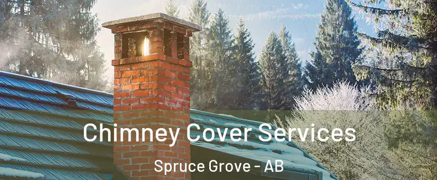  Chimney Cover Services Spruce Grove - AB