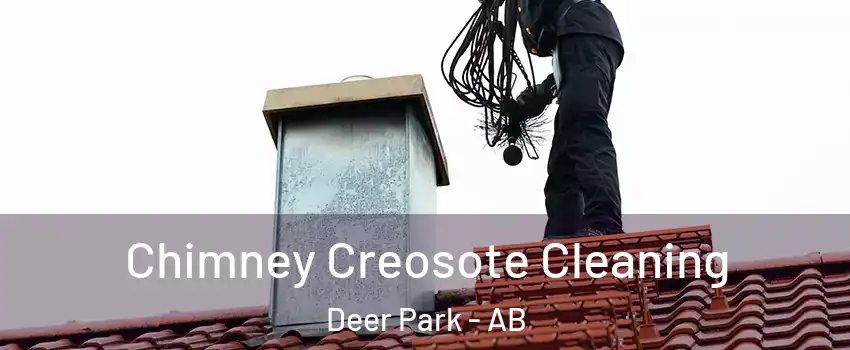  Chimney Creosote Cleaning Deer Park - AB
