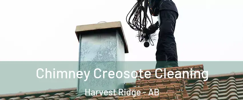  Chimney Creosote Cleaning Harvest Ridge - AB