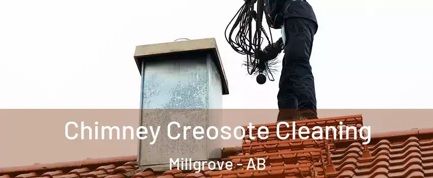  Chimney Creosote Cleaning Millgrove - AB