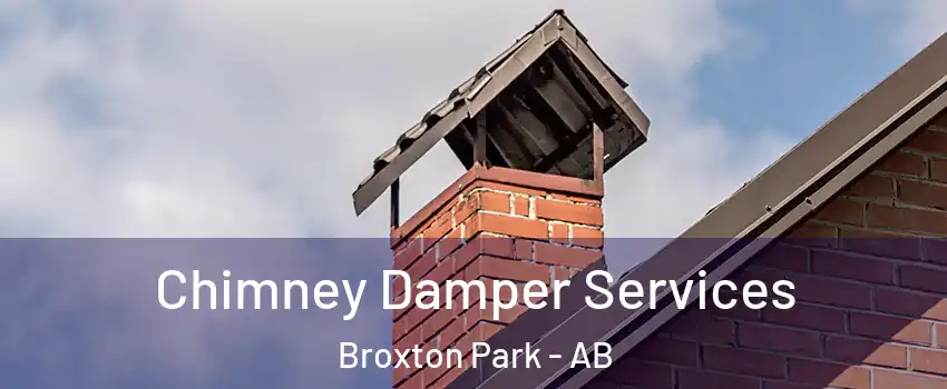  Chimney Damper Services Broxton Park - AB