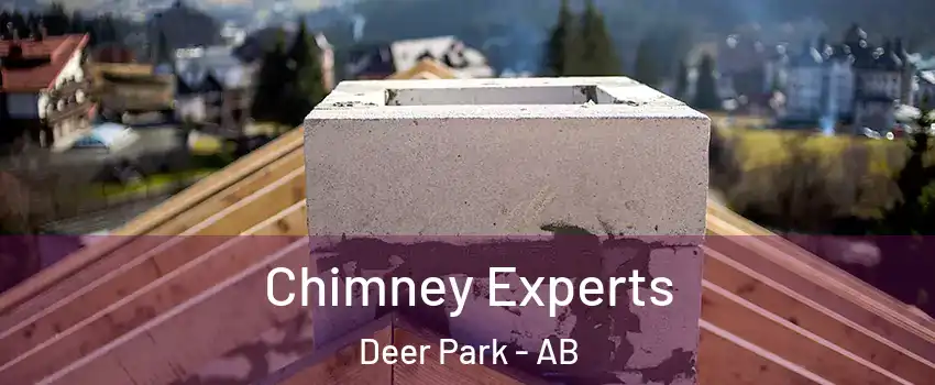  Chimney Experts Deer Park - AB