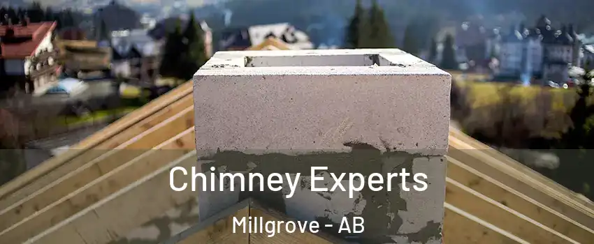  Chimney Experts Millgrove - AB