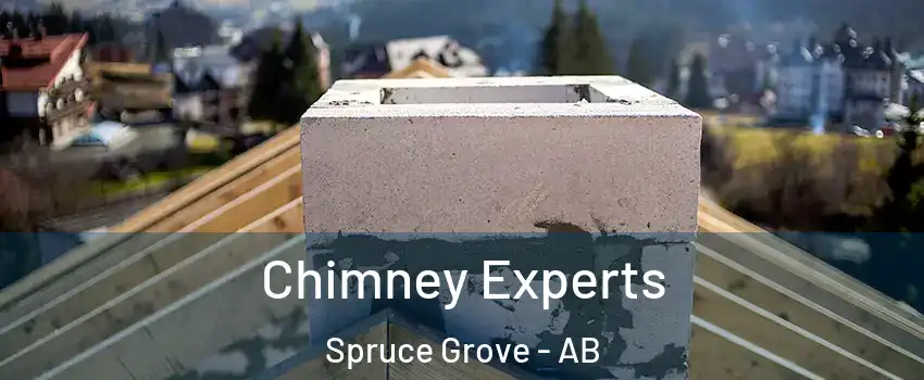  Chimney Experts Spruce Grove - AB