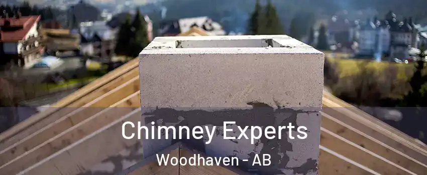  Chimney Experts Woodhaven - AB