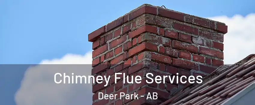  Chimney Flue Services Deer Park - AB