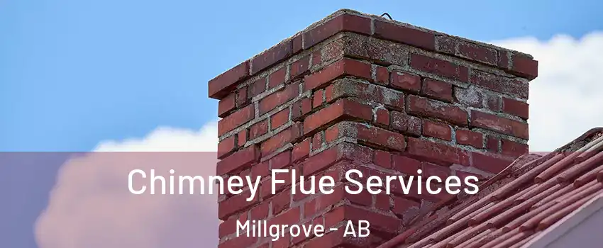  Chimney Flue Services Millgrove - AB