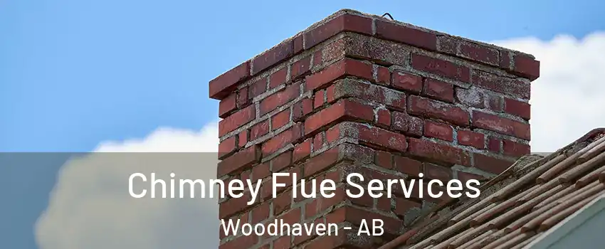 Chimney Flue Services Woodhaven - AB