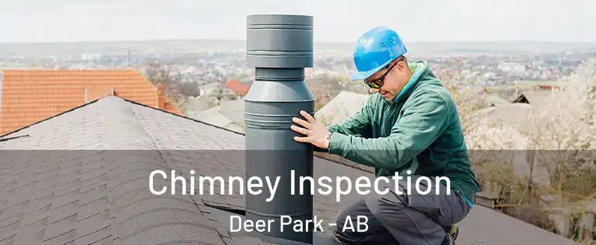  Chimney Inspection Deer Park - AB