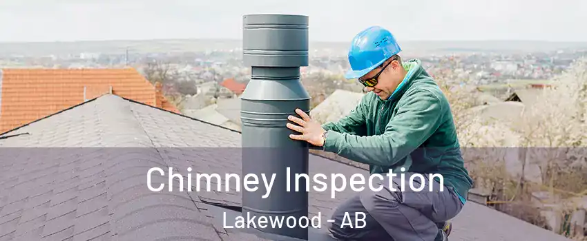  Chimney Inspection Lakewood - AB