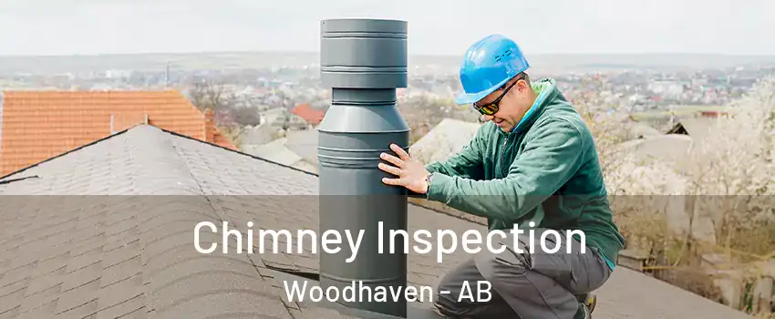  Chimney Inspection Woodhaven - AB