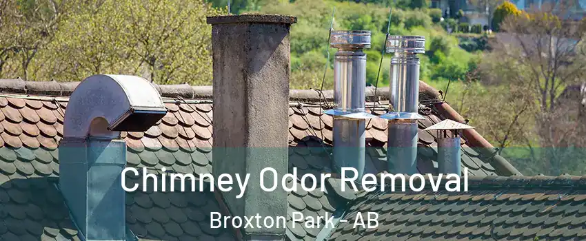  Chimney Odor Removal Broxton Park - AB