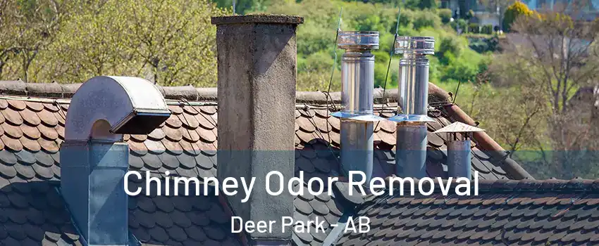  Chimney Odor Removal Deer Park - AB