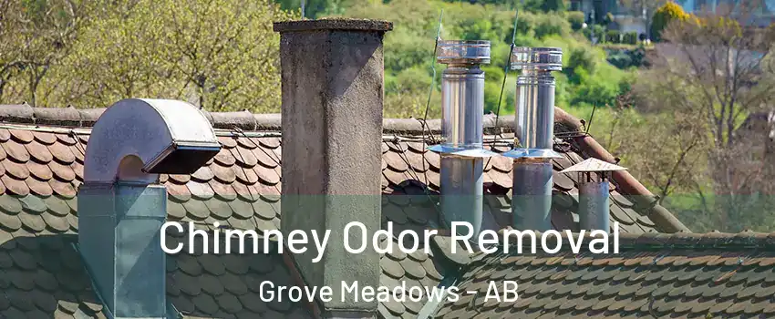  Chimney Odor Removal Grove Meadows - AB