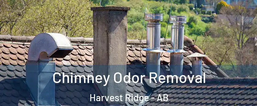  Chimney Odor Removal Harvest Ridge - AB