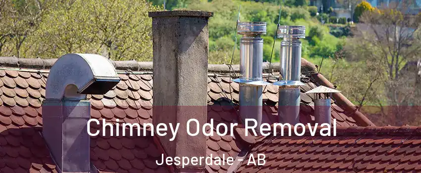  Chimney Odor Removal Jesperdale - AB