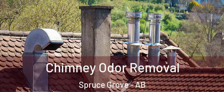  Chimney Odor Removal Spruce Grove - AB
