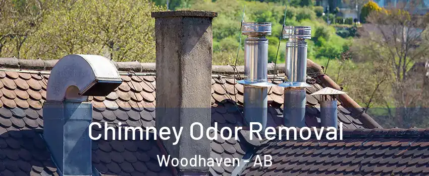  Chimney Odor Removal Woodhaven - AB